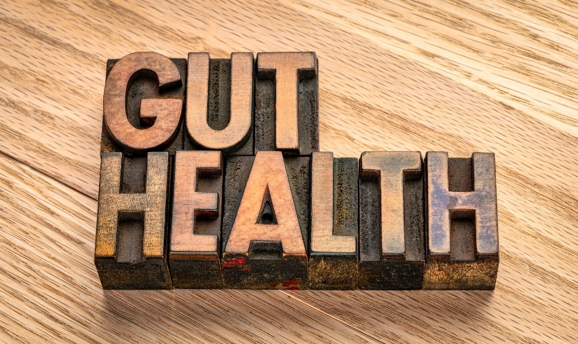 Gut Health
