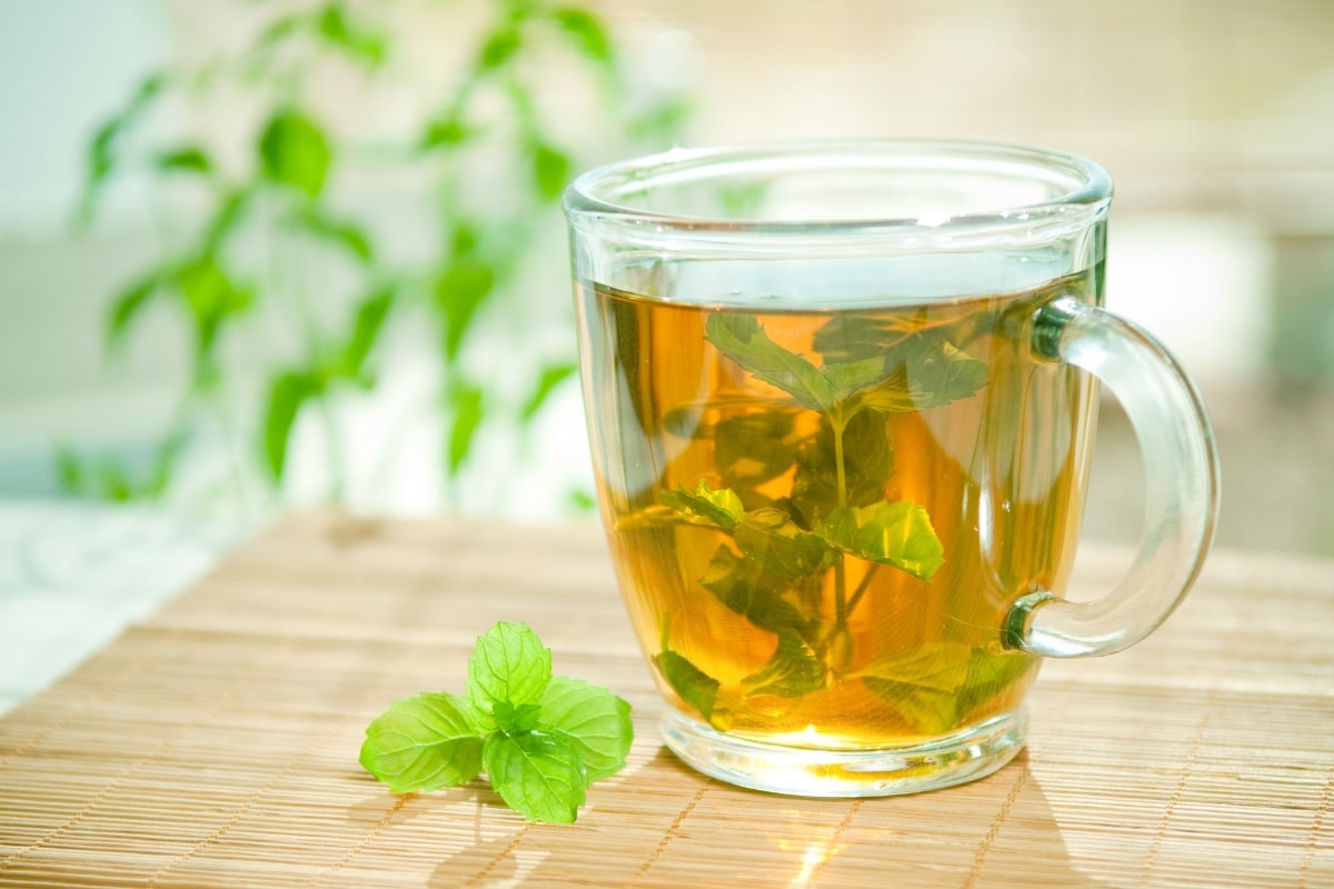 Featured image for “Spearmint Tea for Bad Breath for Braces Wearers”